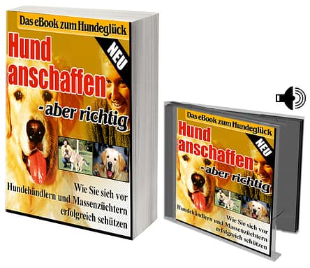 Prävention gegen Einsamkeit (Kopie)